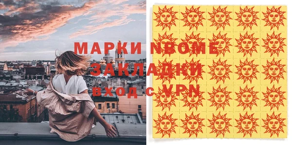 мет Алексин