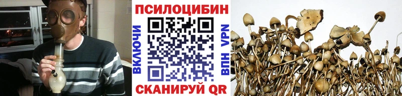 Галлюциногенные грибы Psilocybine cubensis ОМГ ОМГ рабочий сайт Оханск